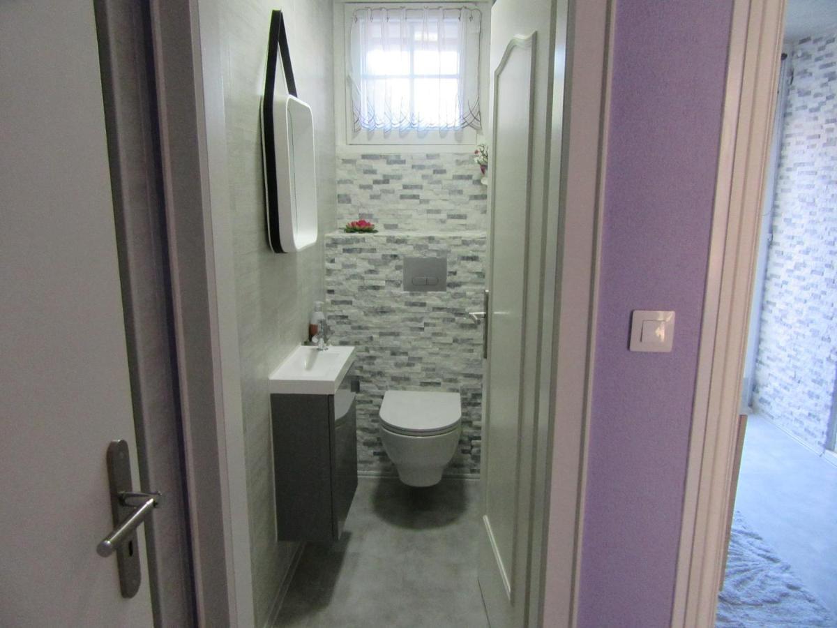 La Belle Endormie - Appartement B Fenetrange المظهر الخارجي الصورة