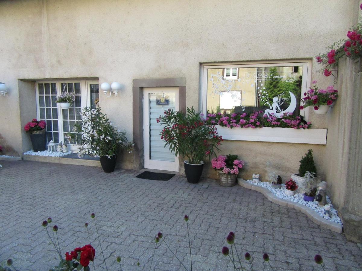 La Belle Endormie - Appartement B Fenetrange المظهر الخارجي الصورة